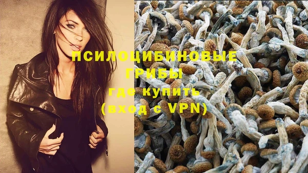 круглые Алексин