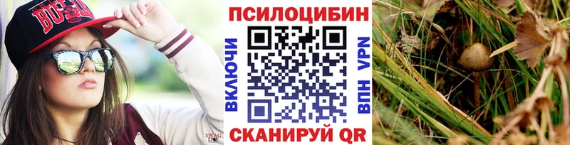даркнет сайт  Зеленоградск  Галлюциногенные грибы Psilocybe 